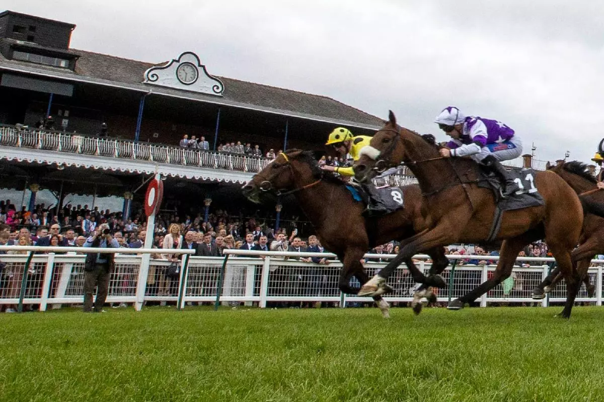 Ayr best bet: Recent course-distance winner Monhammer can land another blow