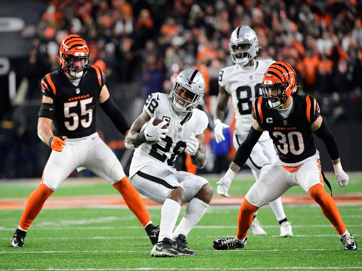 NFL Wildcard Weekend: Cincinnati Bengals And Buffalo Bills Win Play-off ...