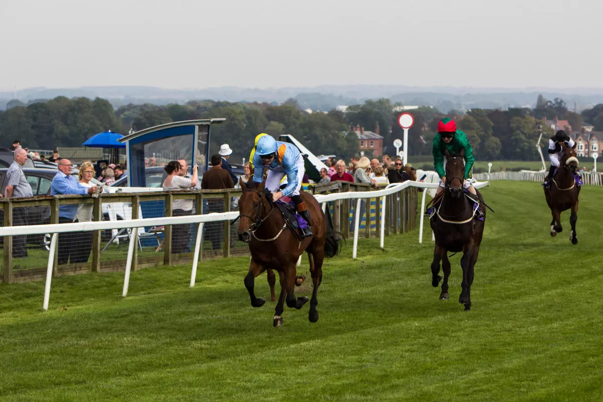 Beverley each-way racing tip: Huge drop in class can help Carvalhal defy outsider odds: