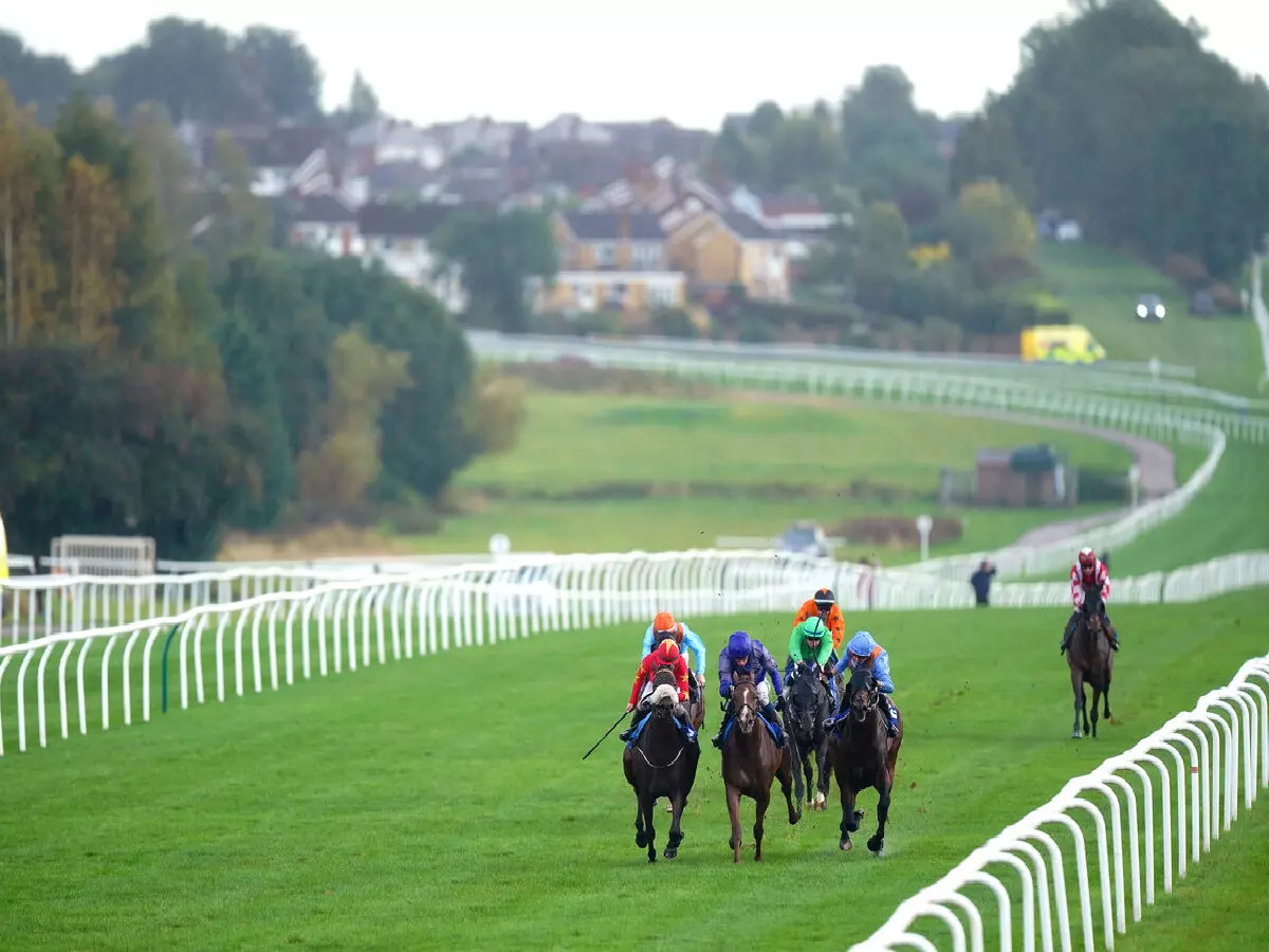 Leicester racing tips (1708): Mrs Trump can bounce back, Viewfromthestars looking good