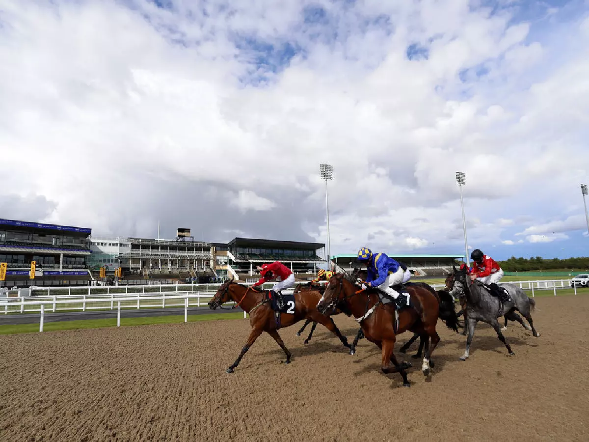 Newcastle best bets: Bold bid expected from Pallas Lord under promising ...