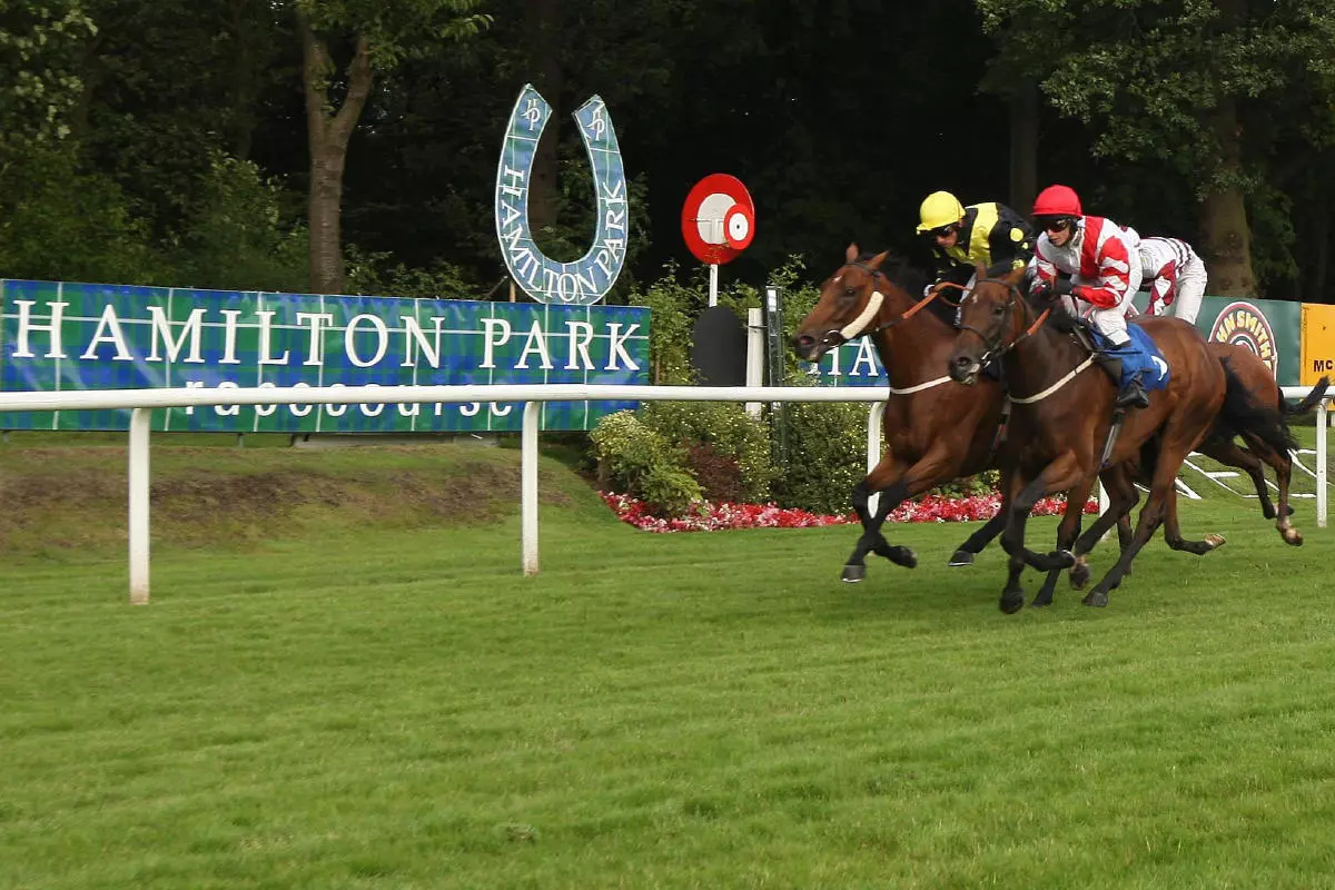 Hamilton afternoon racing tips: Best bets for Wednesday, May 29