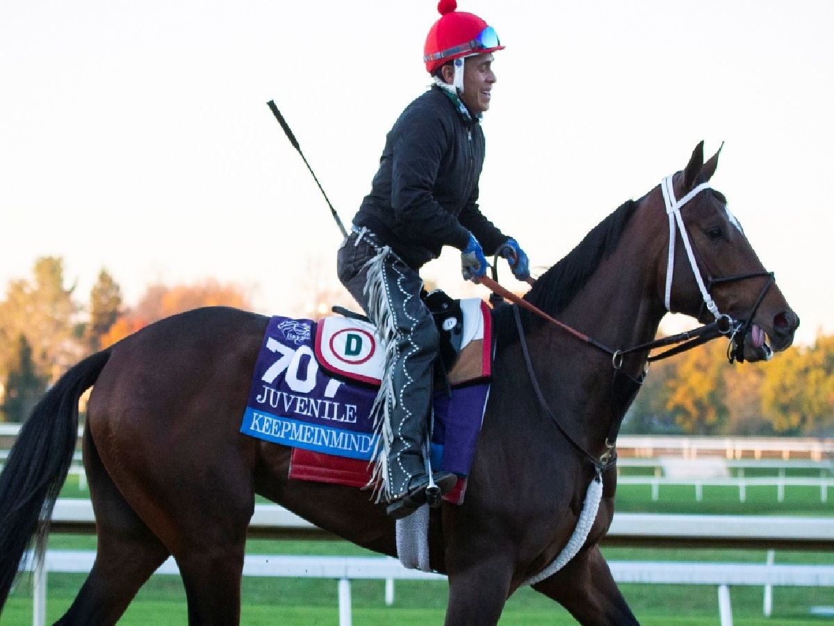 Preakness Stakes field Starting positions and morning lines set