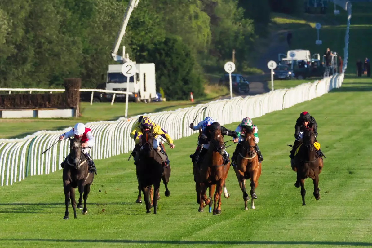 Lingfield each-way tip: Luna Queen fancied to defy outsider odds