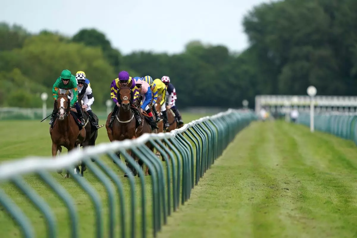 Nottingham best bets: Great Blasket to live up to top billing while All The King’s Men contends