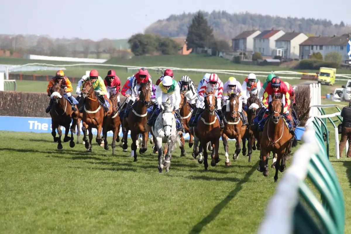 Ayr Gold Cup the aim for Portland winner American Affair