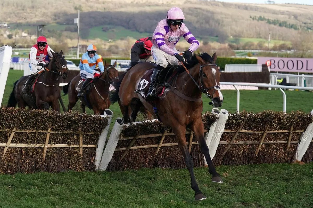 Harry Cobden’s Planet Sport Bet blog: Stay Away Fay has massive chance in Scottish Grand National at Ayr