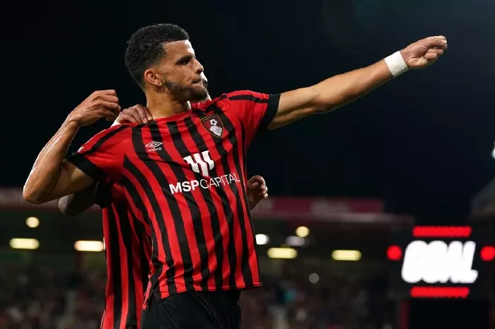 Dominic Solanke at Bournemouth