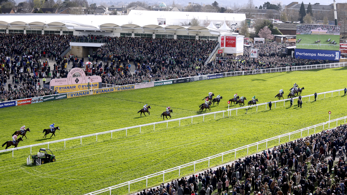 Cheltenham Festival 2023: Grand Annual tips - Andy Dufresne looking for ...