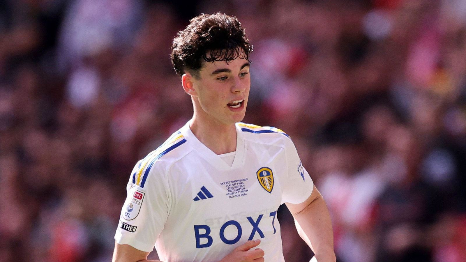 Tottenham secure Archie Gray as Joe Rodon reunites with Leeds