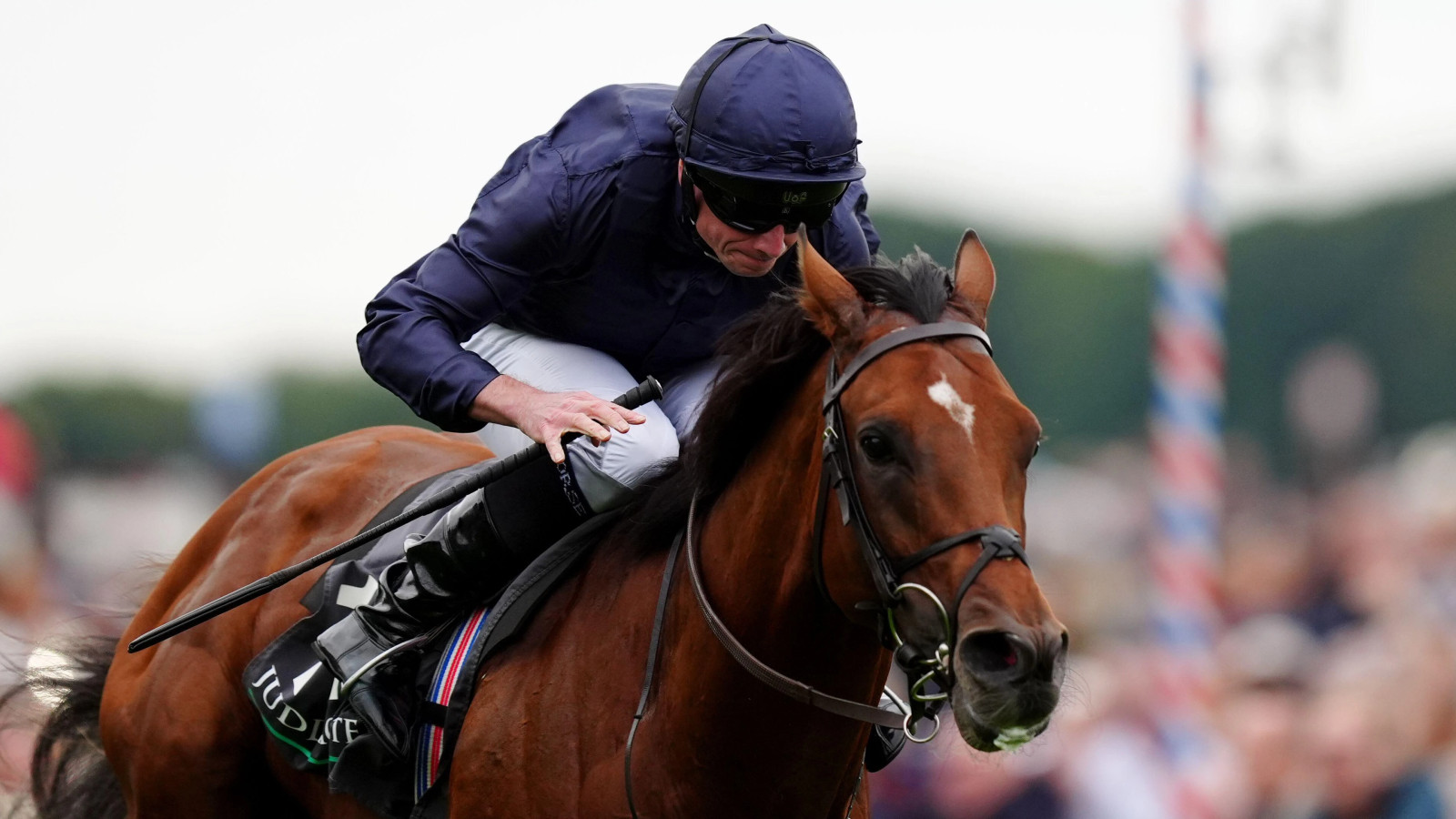 City Of Troy set to stand at stud in Ireland after Breeders’ Cup bid