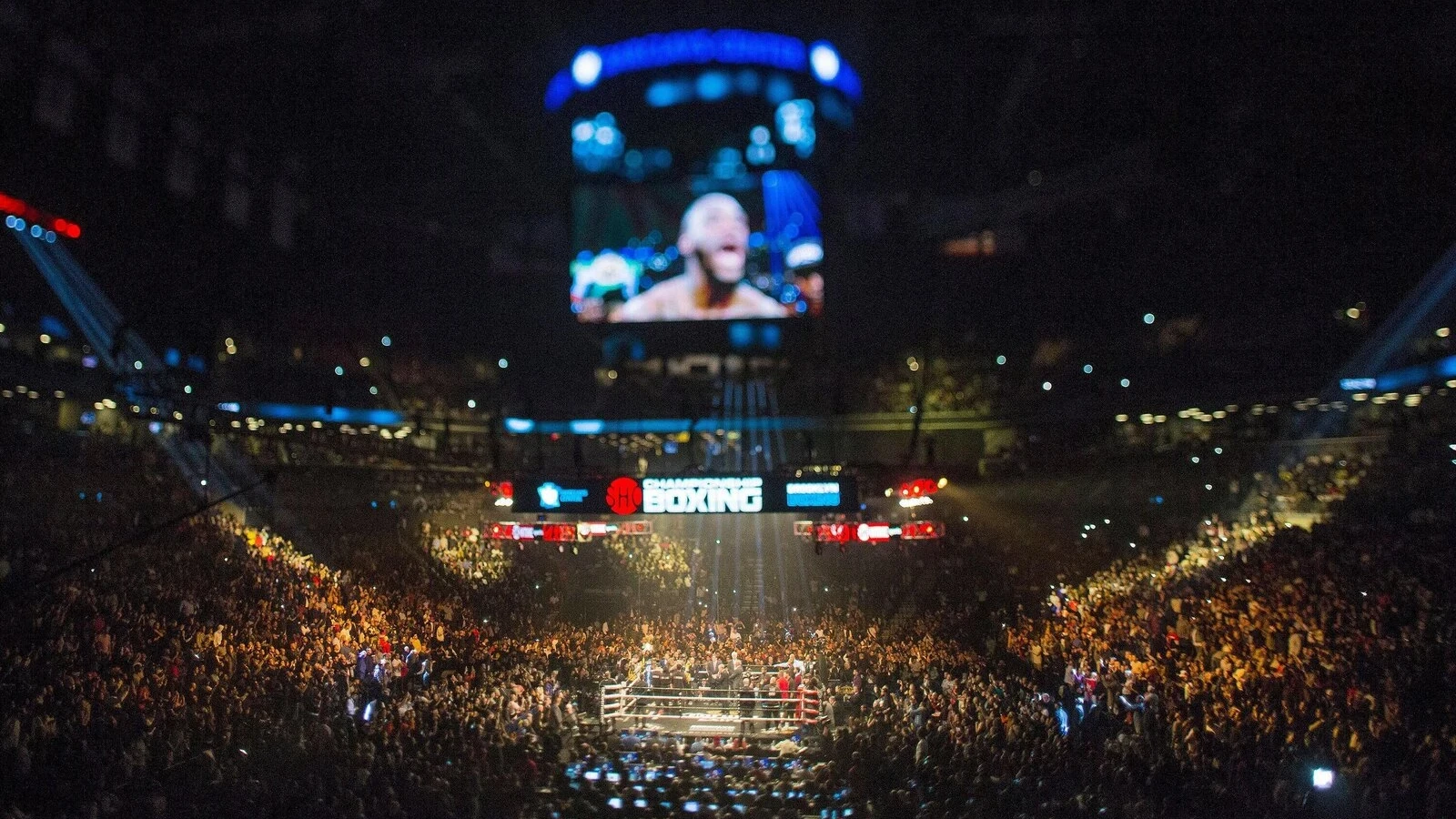 Are punters clubs allowed to judge boxing matches?