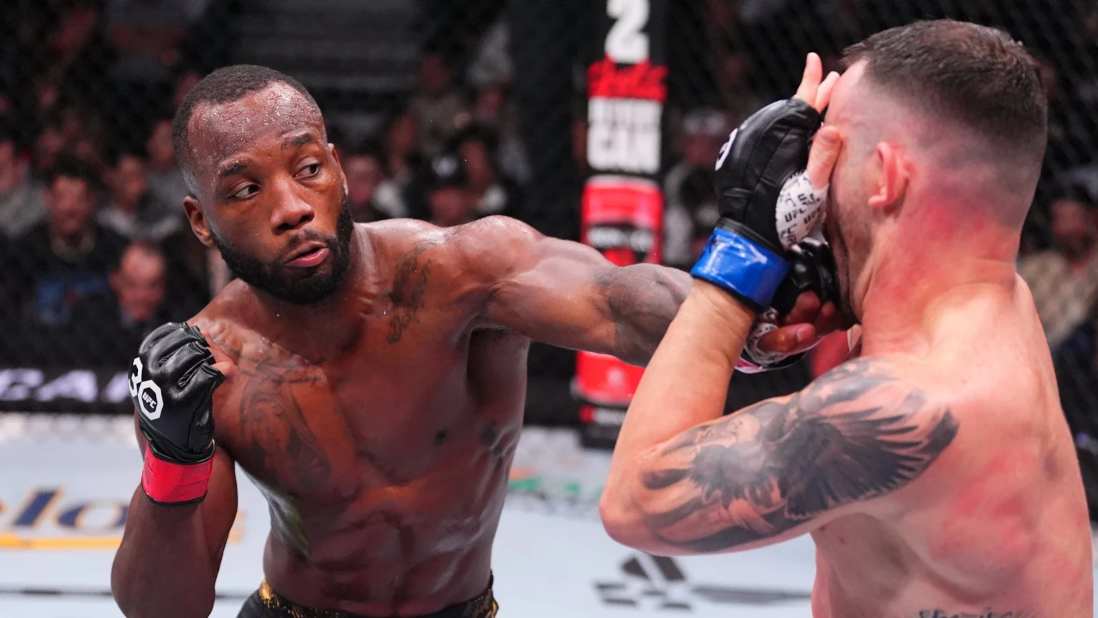 UFC 296: Leon Edwards And Alexandre Pantoja Defend Titles, Shavkhat ...