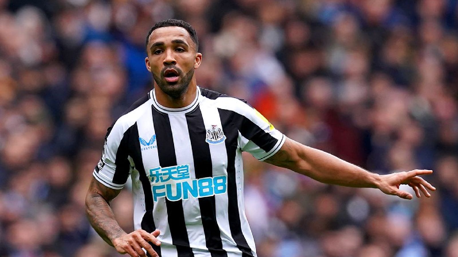 Callum Wilson admits Newcastle disappointment fuelled England comeback ...