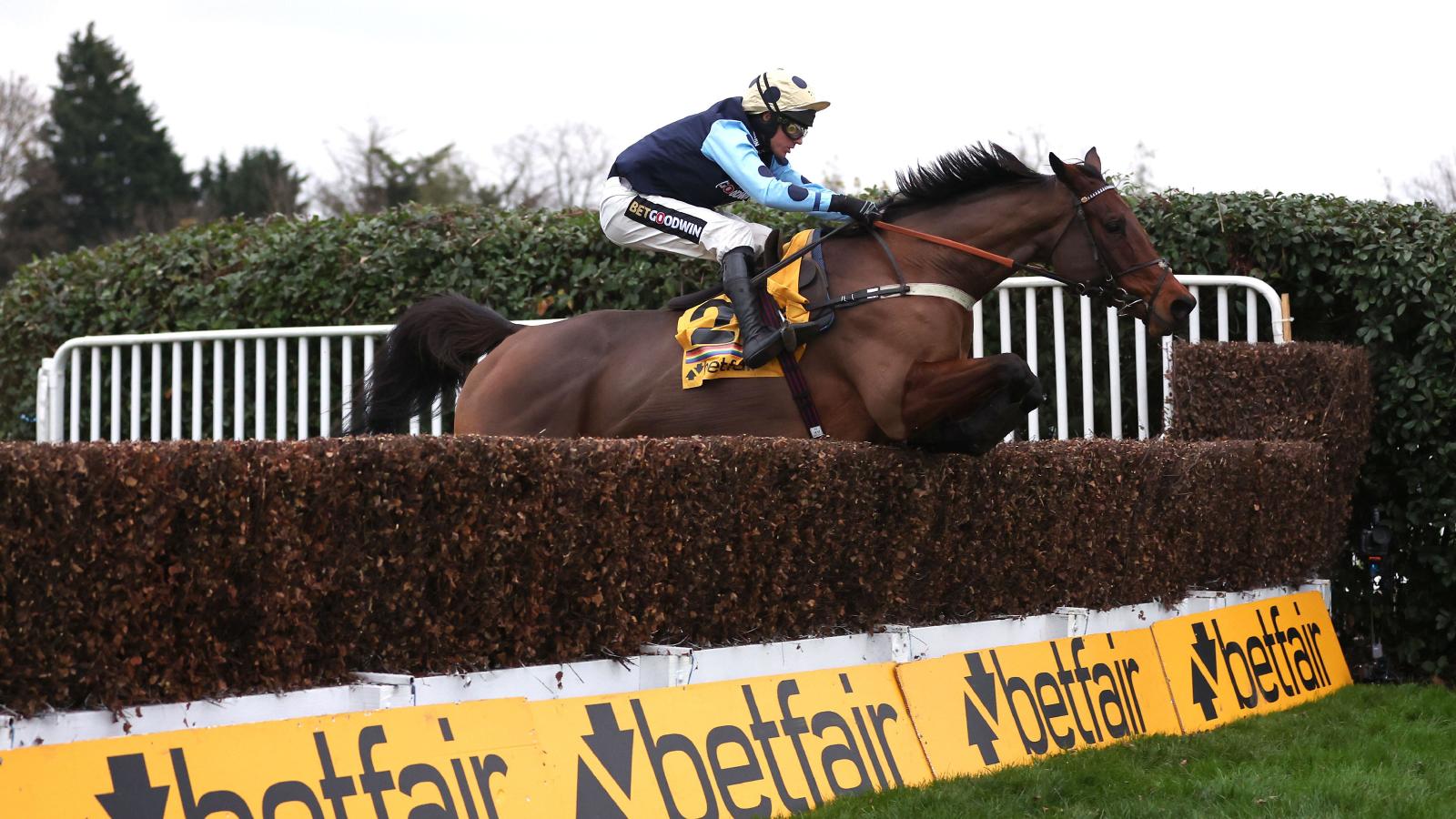 Edwardstone puts on scintillating show to claim Tingle Creek triumph at ...