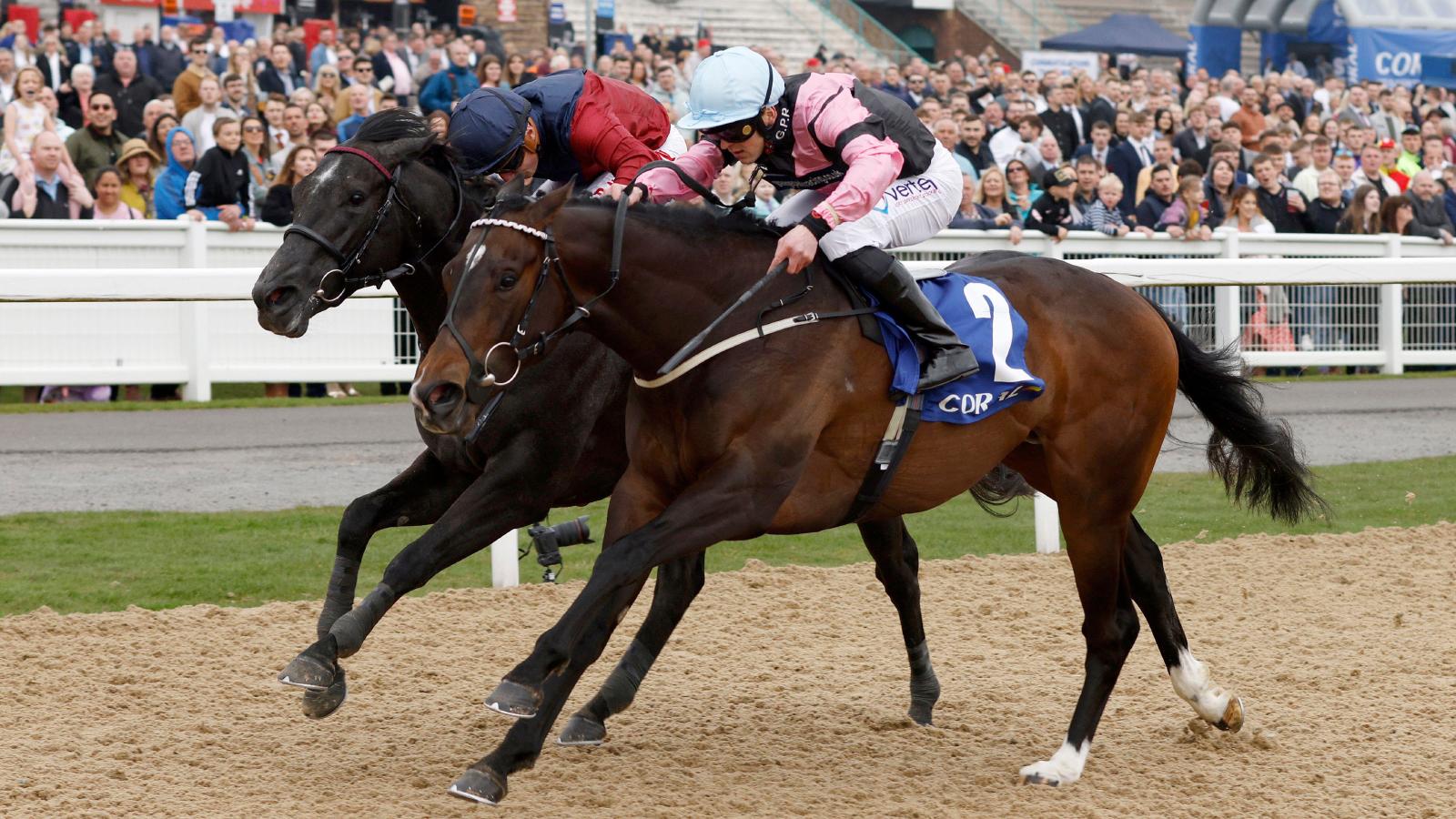 Thursday Newcastle top racing tip: Suffrajet has strength to power to ...