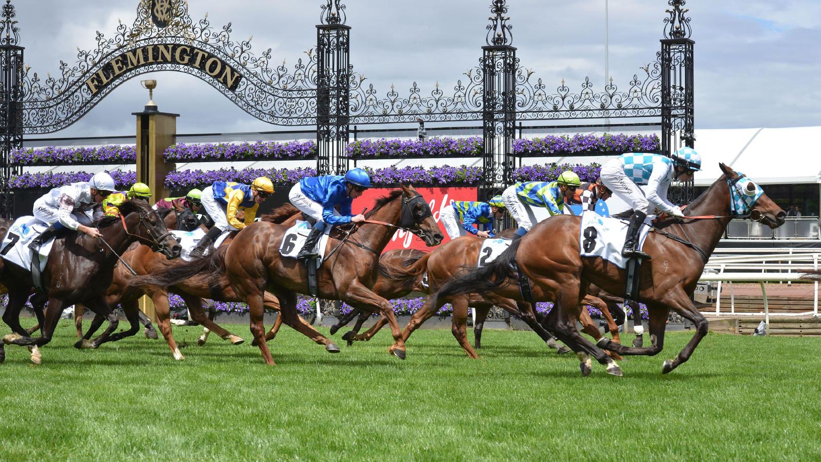 Melbourne Cup Glory Mark Zahra Times Challenge Perfectly To Ride Gold 