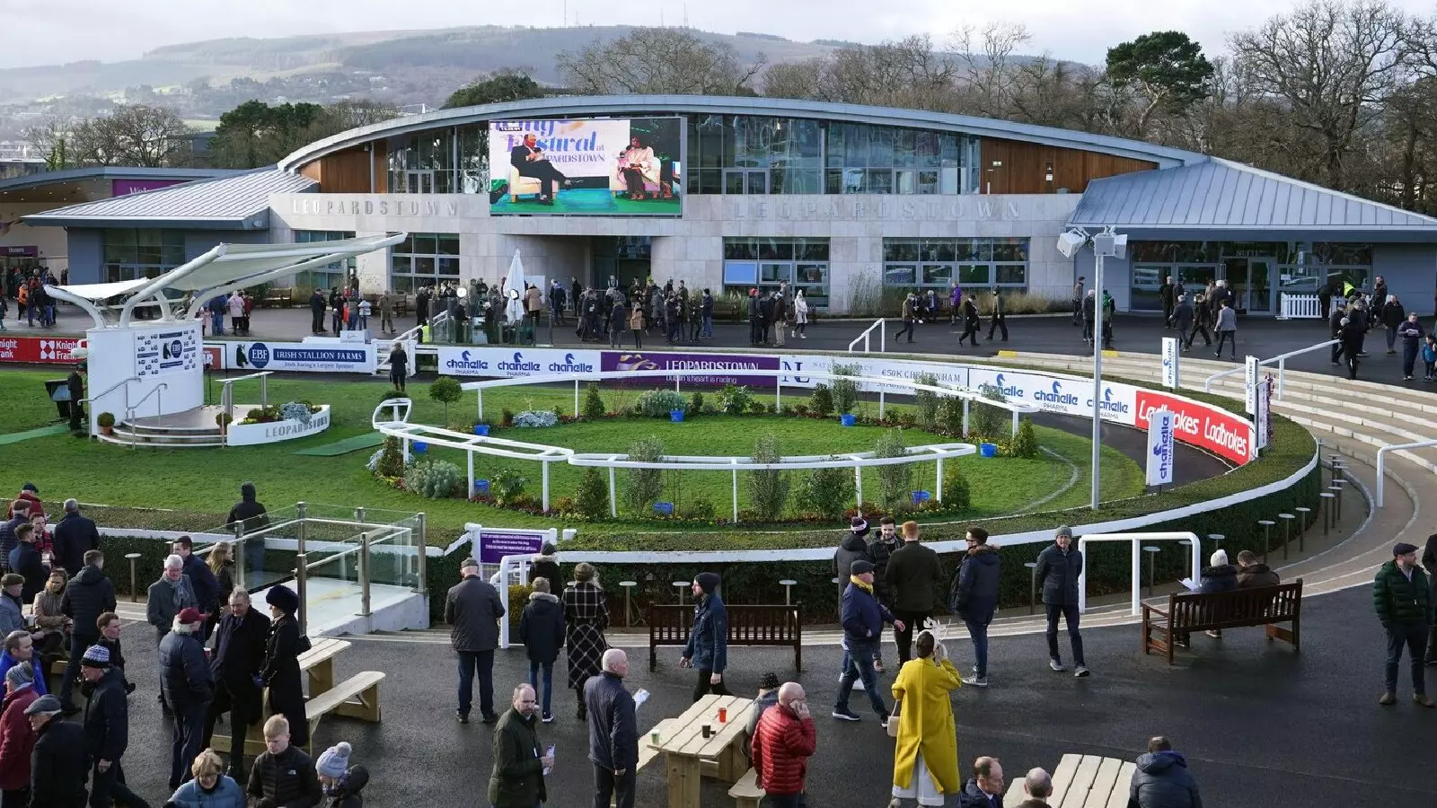 Saturday's Leopardstown racing tips Saffron Beach will be hard to beat