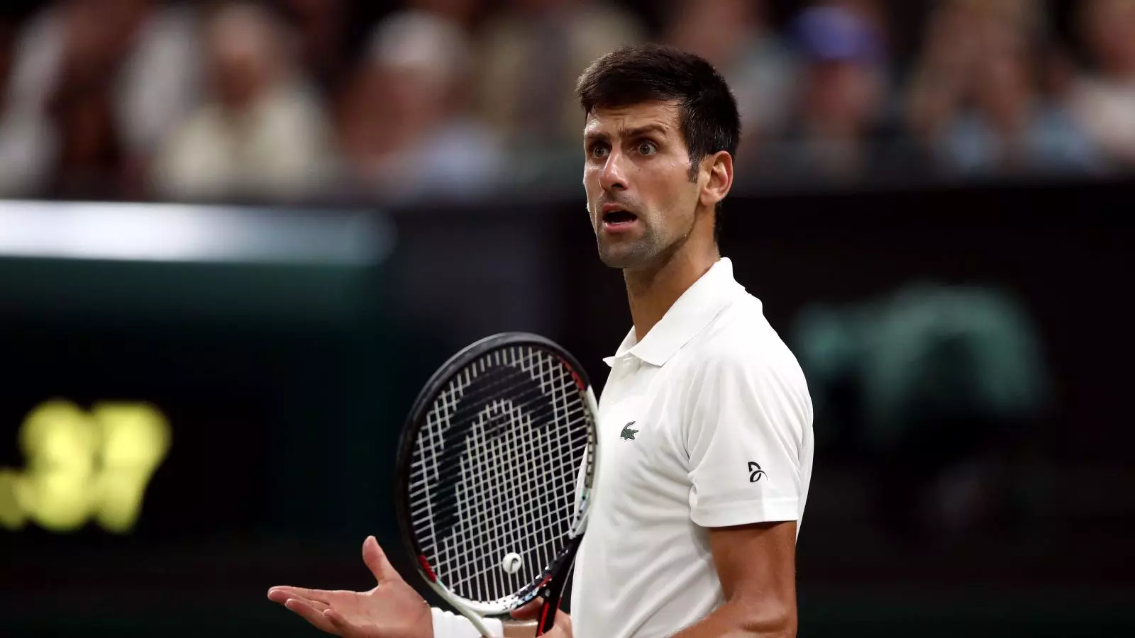 Novak Djokovic: World's number one tennis player to miss Miami