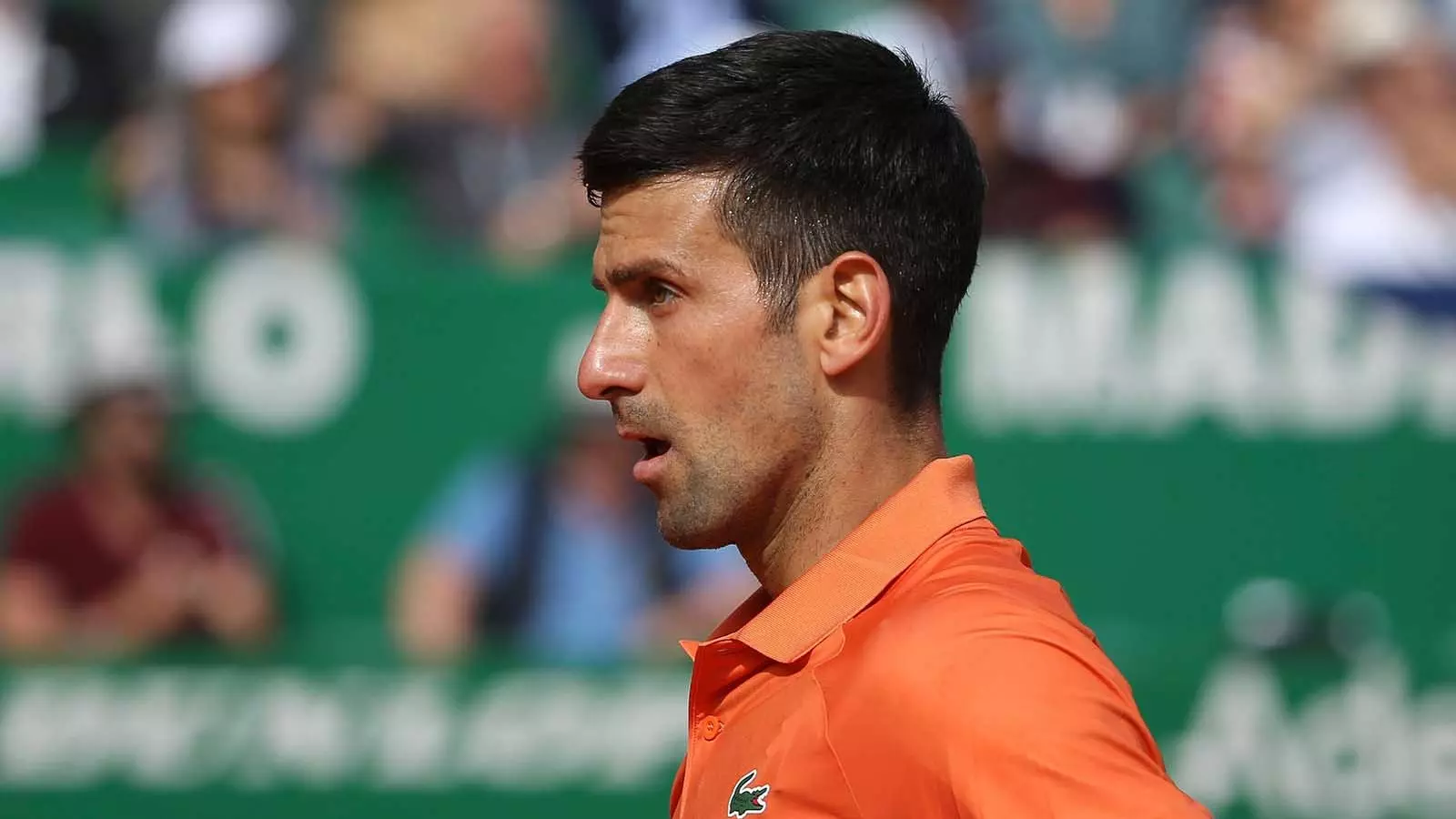 'Physically I Completely Collapsed,' Says Novak Djokovic After Losing ...