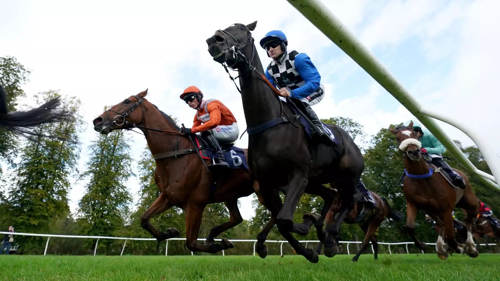 Paul Nicholls and Harry Cobden seal Kempton double