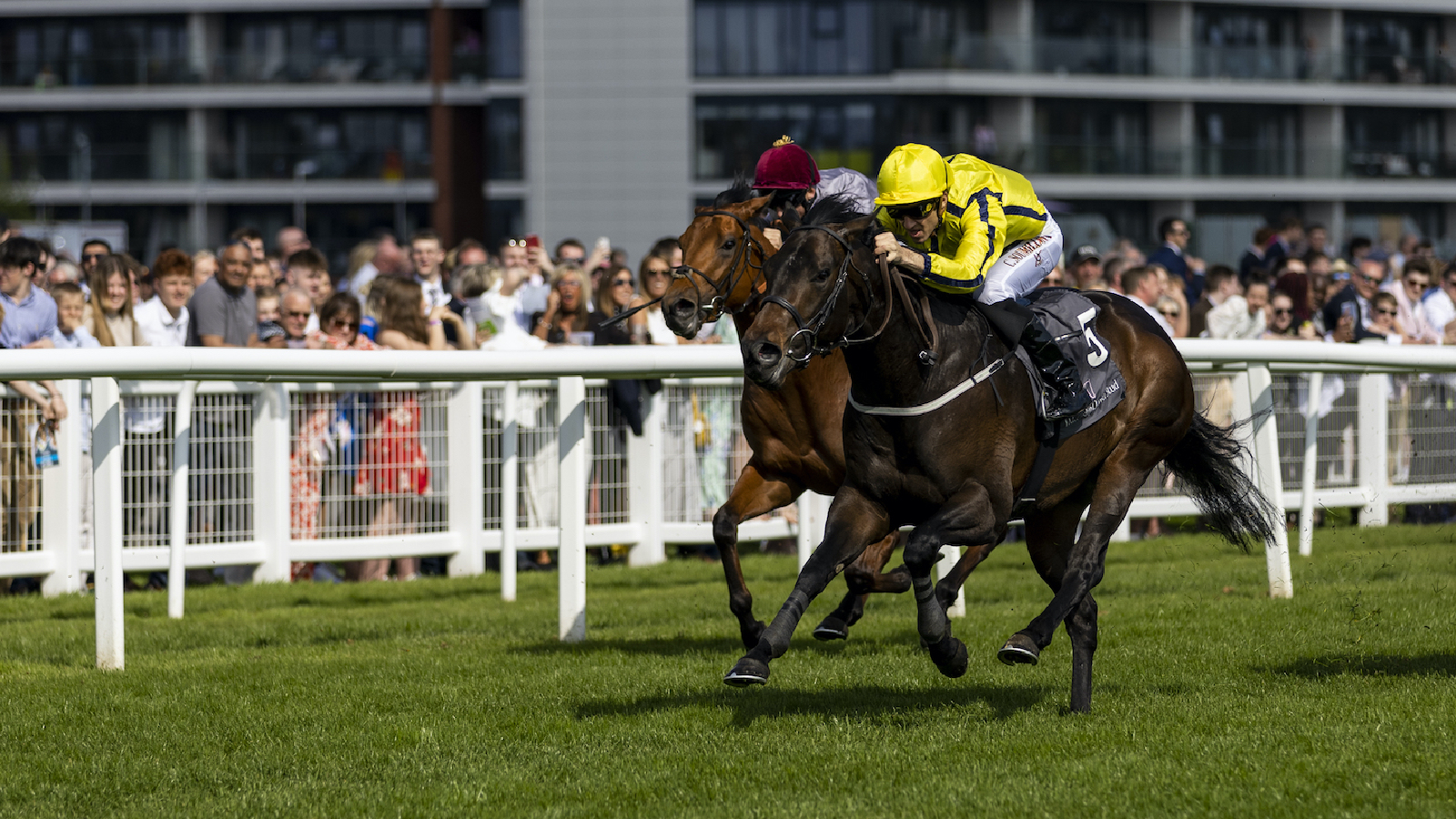 royal-ascot-news-perfect-power-ready-for-potent-commonwealth-cup