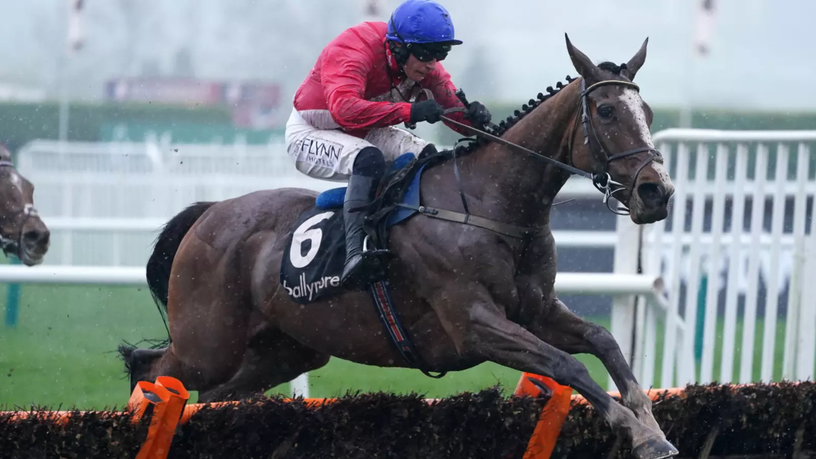 Sir Gerhard injury could make him a Cheltenham doubt