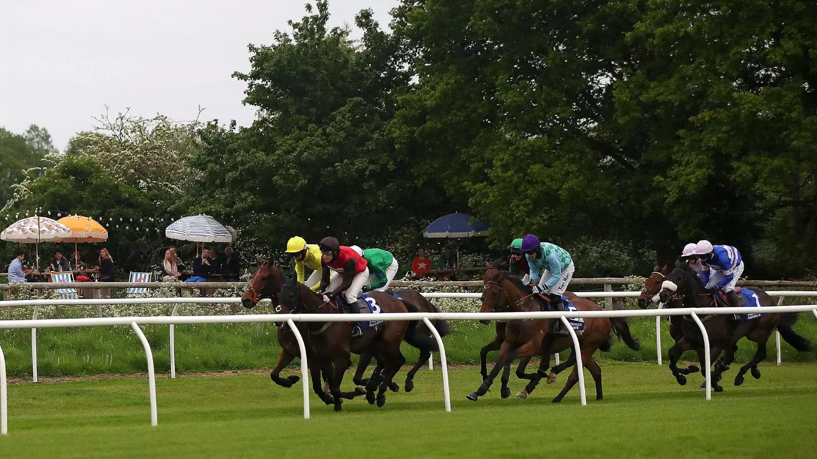 Tips for all seven Tuesday evening races at Stratford