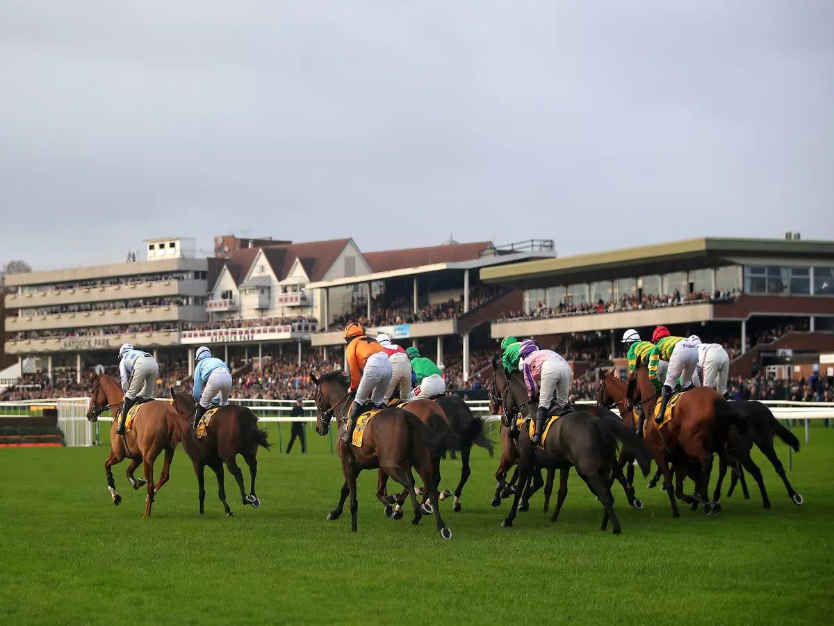 Haydock racing tips: Woodleigh to build on recent success, Triggerman no forlorn each-way hope